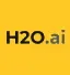 h20